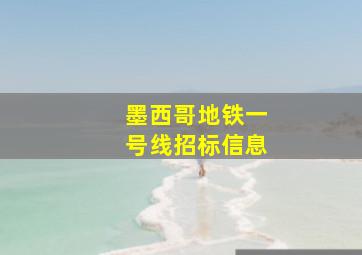 墨西哥地铁一号线招标信息