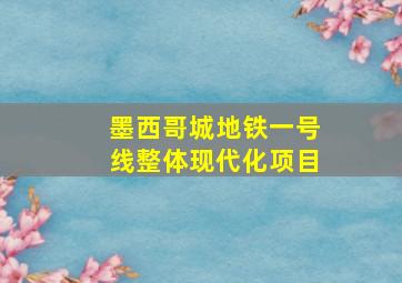 墨西哥城地铁一号线整体现代化项目