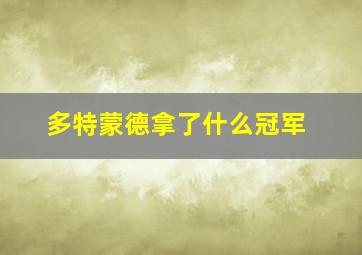 多特蒙德拿了什么冠军