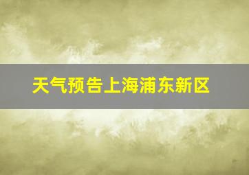 天气预告上海浦东新区