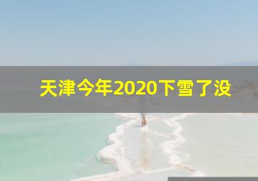 天津今年2020下雪了没