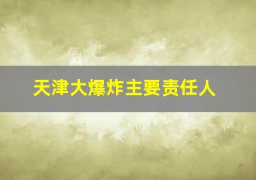 天津大爆炸主要责任人