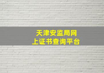 天津安监局网上证书查询平台