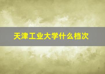 天津工业大学什么档次