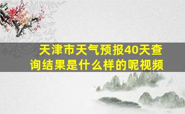 天津市天气预报40天查询结果是什么样的呢视频