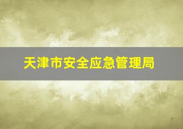 天津市安全应急管理局