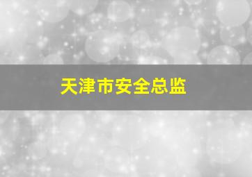 天津市安全总监