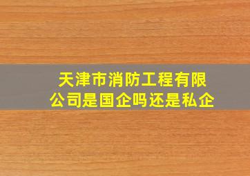 天津市消防工程有限公司是国企吗还是私企