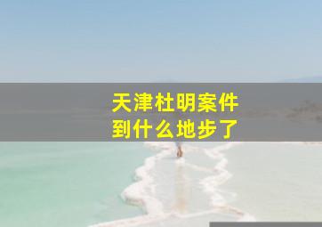 天津杜明案件到什么地步了