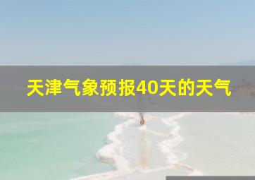 天津气象预报40天的天气