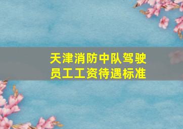 天津消防中队驾驶员工工资待遇标准