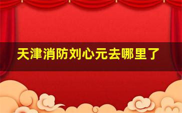 天津消防刘心元去哪里了