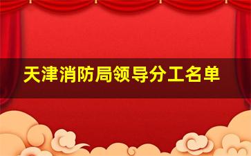 天津消防局领导分工名单