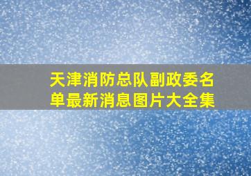 天津消防总队副政委名单最新消息图片大全集