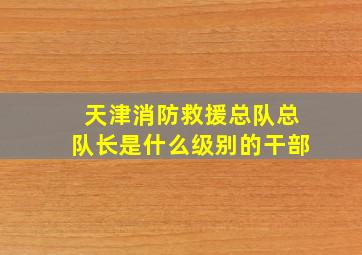 天津消防救援总队总队长是什么级别的干部