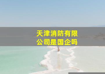 天津消防有限公司是国企吗