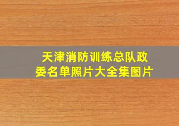 天津消防训练总队政委名单照片大全集图片