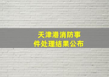 天津港消防事件处理结果公布