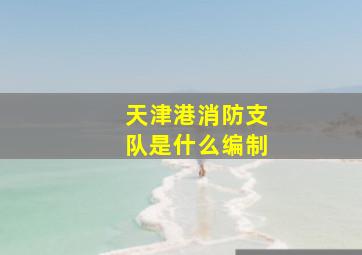 天津港消防支队是什么编制