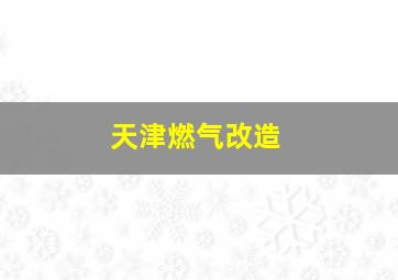 天津燃气改造