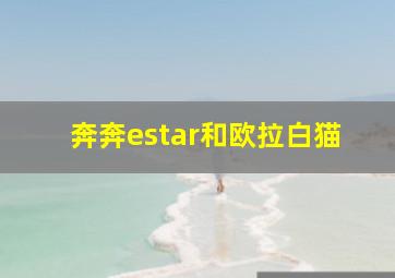 奔奔estar和欧拉白猫