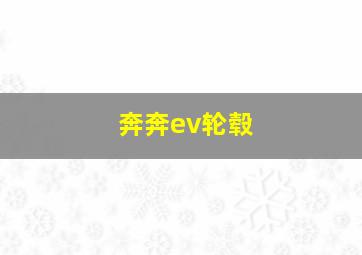 奔奔ev轮毂