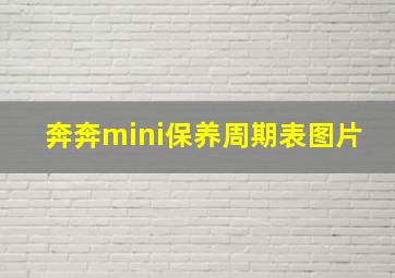 奔奔mini保养周期表图片