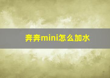 奔奔mini怎么加水