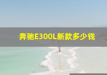 奔驰E300L新款多少钱