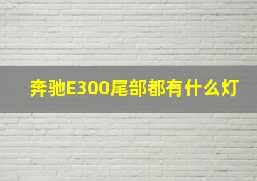 奔驰E300尾部都有什么灯