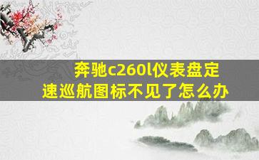 奔驰c260l仪表盘定速巡航图标不见了怎么办