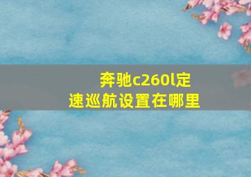 奔驰c260l定速巡航设置在哪里