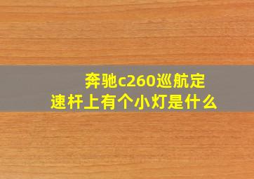 奔驰c260巡航定速杆上有个小灯是什么