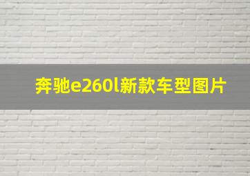 奔驰e260l新款车型图片