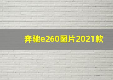 奔驰e260图片2021款