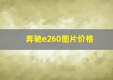 奔驰e260图片价格