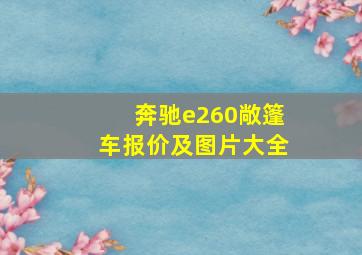 奔驰e260敞篷车报价及图片大全