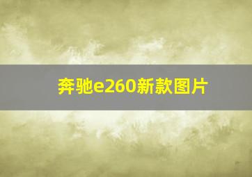 奔驰e260新款图片