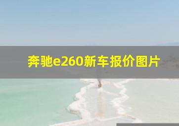 奔驰e260新车报价图片