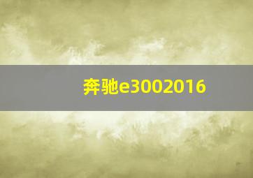 奔驰e3002016