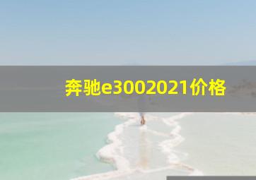 奔驰e3002021价格