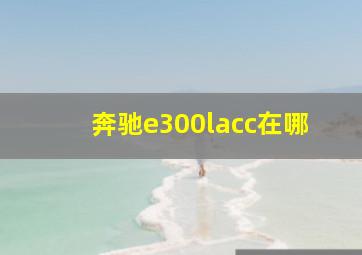 奔驰e300lacc在哪