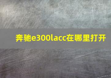 奔驰e300lacc在哪里打开