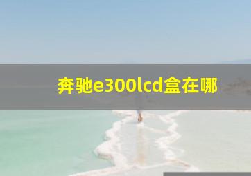 奔驰e300lcd盒在哪