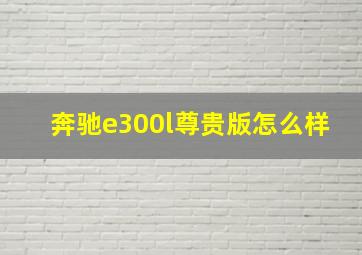 奔驰e300l尊贵版怎么样