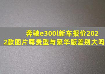 奔驰e300l新车报价2022款图片尊贵型与豪华版差别大吗