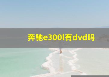 奔驰e300l有dvd吗