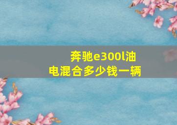 奔驰e300l油电混合多少钱一辆