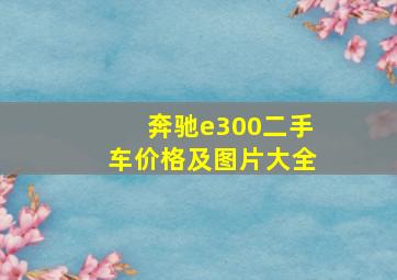 奔驰e300二手车价格及图片大全