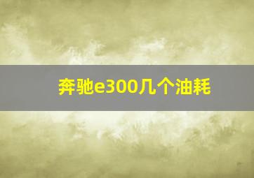 奔驰e300几个油耗